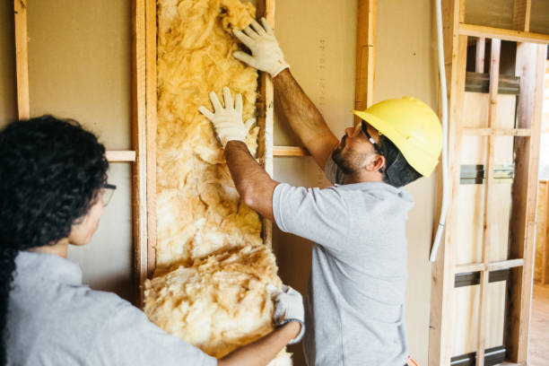 Best Insulation Replacement  in USA